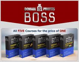 Here S How I Made 00 In 24 Hours Domain Profits Boss Review Jvzoo Wso Launch Review