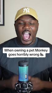 Monkey Owners Are The Worst