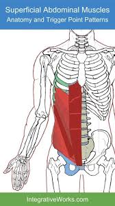 Pin On Hip Muscles