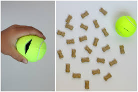 Maybe you would like to learn more about one of these? Diy Dog Toys Using Old Tennis Balls Simply Shellie