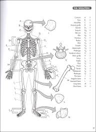 Maybe you would like to learn more about one of these? Anatomy Coloring Book Princeton Review 4ed Princeton Review 9780451487872