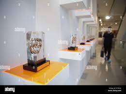 American Comedy Awards as well along with works of art, watches, awards and  other personal items are on display at a public exhibition of Creating a  Stage: The Collection of Marsha and
