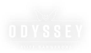 The differences will mean that elite dangerous: Logo For Elite Dangerous Odyssey By Ad