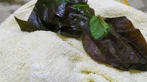 Maybe you would like to learn more about one of these? Ikhtiar Keluarkan Kahak Bayi Menggunakan Daun Sireh Dan Minyak Telon Pa Ma