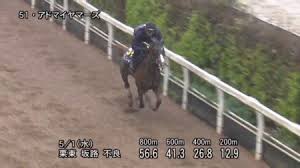 2019年5月5日（日） | 2回東京6日 | 15:40 発走. Nhkãƒžã‚¤ãƒ«ã‚«ãƒƒãƒ—2019 è¿½ã„åˆ‡ã‚Š æŠœç¾¤ã®å‹•ãã‚'è¦‹ã›ãŸã®ã¯