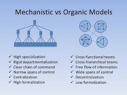 18 logical organic organizational structure chart