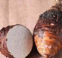 2023 New Crop Premium Quality Authentic Bulk Packing Fresh Taro 100% Nature