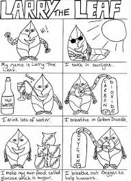 Photosynthesis Colouring Sheet Photosynthesis Photosynthesis And Cellular Respiration Photosynthesis Activities