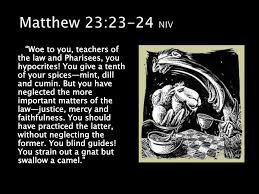 Talk about straining at gnats and swallowing camels! Come Rest Matthew 11 Ppt Download