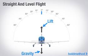 Straight And Level Small Aerodynamics Flight Training Aviation Humor