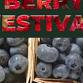 Freedom Farms Berry Festival & Craft Show