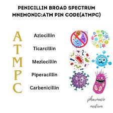Image result for Extended Spectrum Penicillin