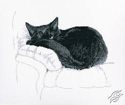 Animals ii фото исполнителя animals ii. Cross Stitch Kits Rto Cross Stitch Kits Animals Among Black Cats Ii Gvello Stitch