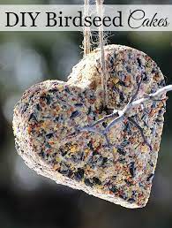 Diy Birdseed Cakes For Our Feathered Friends Bird Feeders How To Make Diy Bird Seed