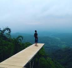 Wisata yang ditawarkan di nglinggo adalah pemandangan alam yang asri, pemandangan perkebunan teh, hamparan hutan pinus dan pemandangan bukit bukit yang terdapat disekitarnya. Wisata Kebun Teh Samigaluh Nglinggo Jogja Yang Wajib Dikunjungi Tempatwisataunik Com