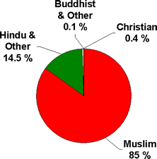 Pakistan By Kaden Stephan Infographic