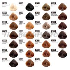 Women with warmer skin tones are best suited to ash brown accents. Readystock Korea Pewarna Rambut Hair Color Hair Dye Hair Colour Ash Grey Rose Gold Ash Brown Violet 100ml Shopee Malaysia