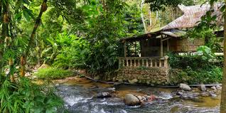 Featuring garden views, janda baik resort in bentong features accommodations and a garden. Hotel Tour 6 Staycation In Nature Sugeh Hill Exclusive Eco Resort Janda Baik Chasing The Sun Travel Blog