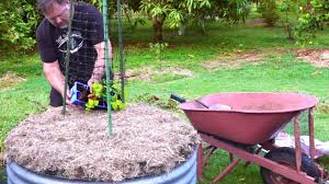 Birdies Raised Garden Beds Amazon Planting A Dangerous Vegetable In A Refurbished Garden Bed Youtube