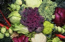 We did not find results for: 10 Fruits Nuts And Vegetables You Did Not Know Were Man Made Listverse