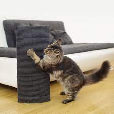 Amazon Com Duchess Of Sofa Savers Cat Scratching Post Couch Corner Furniture Protector By Cattrees Beige Cat Scratcher Modern Cat Cat Scratching Post