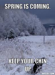 Spring Is Coming Quotes Bing Images Winter Humor Winter Dog Keep Your Chin Up