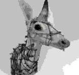 Animal Head/Wall Sculpture: 'Unicornicron'