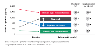 Monitoring Roche Nt Probnp In Heart Failure Patients Can