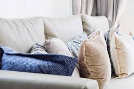 Get furniture cleaner at best price with product specifications. Professional Carpet Cleaner Carpet Cleaning Near Me