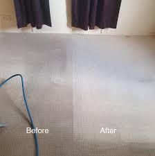 If you have your carpets cleaned on a regular basis you should consider alternating. Home Ivey S Carpet Cleaning Pest Contol And Pool Fence Inspections