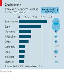 paddy whacked rice in asia