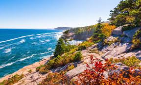 We did not find results for: Rv Camping In Acadia National Park Cruise America