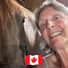 What are some quiet places to study or work late in Fredericton?