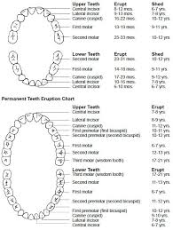 Teeth Letters And Numbers Google Search Dental Pinterest