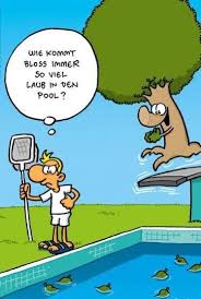 Laub Im Pool Ruthe Witze Cartoon Witze