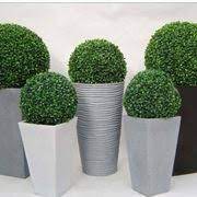 In questa pagina parleremo di : Piante Finte