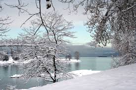 images?q=tbn:ANd9GcRoSgoI-Y0up1qedJXuIHLSpnC8TAlcIxGkOzO5I1GOLTh4QWUDQA