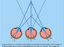 Image result for Visual Fixation