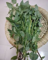Check spelling or type a new query. Manjula H On Twitter Amaranthus Thotakura Fresh From Our Garden Leafveggie Garden Lovinit