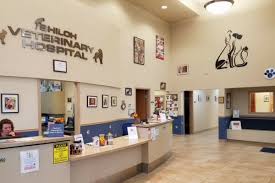 Best friends animal hospital & urgent care is a pet hospital serving billings, mt & surrounding areas. Billings Montana Veterinarian Shiloh Veterinary Hospital