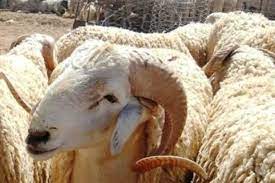 لقوا جثث الطفلين غرقى فى مياه الترعة بالشرقية. ÙƒÙ… ÙŠØªØ¨Ù‚Ù‰ Ø¹Ù„ÙŠ Ù…ÙˆØ¹Ø¯ Ø¹ÙŠØ¯ Ø§Ù„Ø£Ø¶Ø­Ù‰ 2021 Ø§Ù„Ù…Ø±ÙƒØ² Ø§Ù„ÙÙ„ÙƒÙŠ ÙŠØ¬ÙŠØ¨ Ø§Ù„Ù…ØµØ±ÙŠ Ø§Ù„ÙŠÙˆÙ…