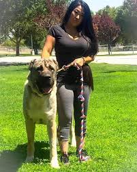 Anatolian Shepherd Dogs