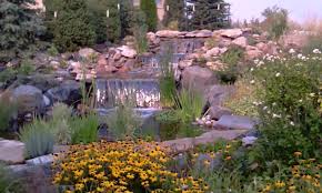 Mybouldergardener Com High Desert Landscaping Natural Landscaping Desert Landscaping