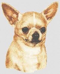 Amazon cross stitch chihuahua patterns in large print to cross stitch. Chihuahua Cross Stitch Pattern Cross Stitch Cross Stitch Animals Cross Stitch Patterns