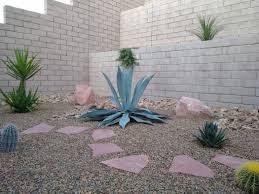 We did not find results for: Drooping Agave Leaves Signal Irrigation Problem Las Vegas Review Journal