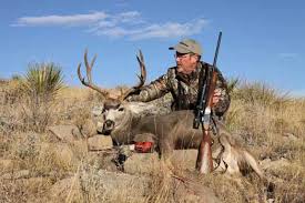 Best Rifle Cartridges For Elk Hunting Of 2024 | Field & Stream