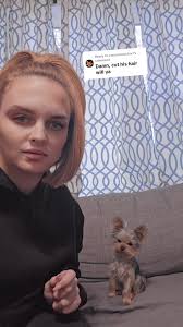 Yorkie Getting Groomed Like Dragon