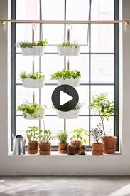 Bittergurka Ampel Weiss Ikea Deutschland In 2020 Ikea Hanging Garden Traffic Light