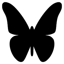 Image result for Plumbago ituriensis