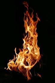 All orders are custom made and most ship worldwide within 24 hours. The Fire The Flavasquad Hour Pages Directory